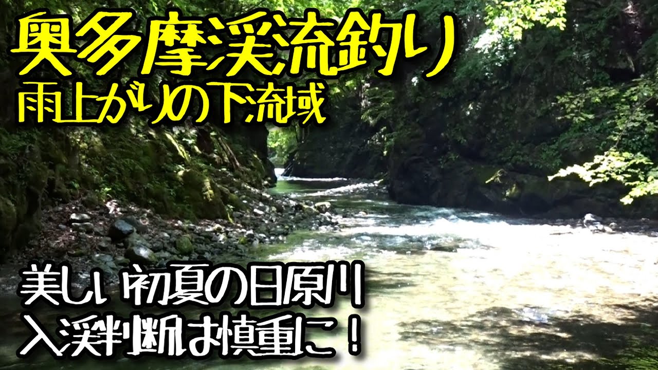 2024奥多摩渓流釣り 初夏の日原川下流域