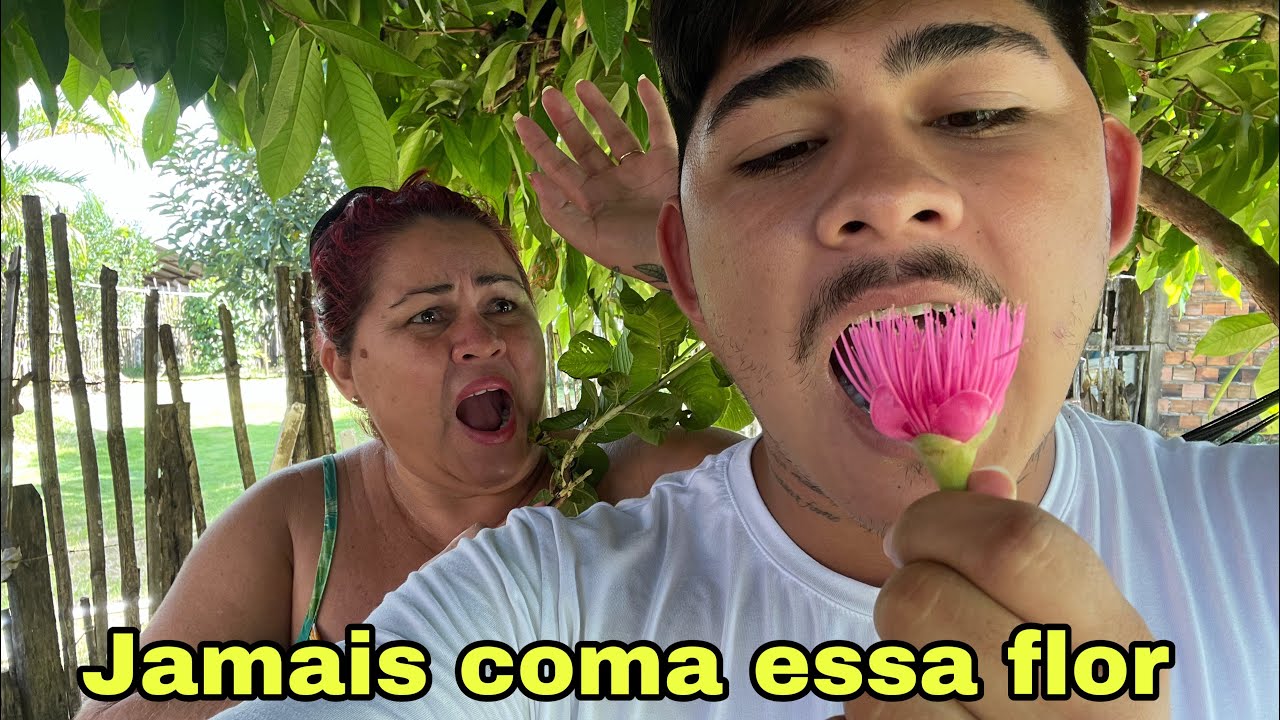 UMA FLOR QUE VOC&Ecirc; NUNCA DEVE COMER