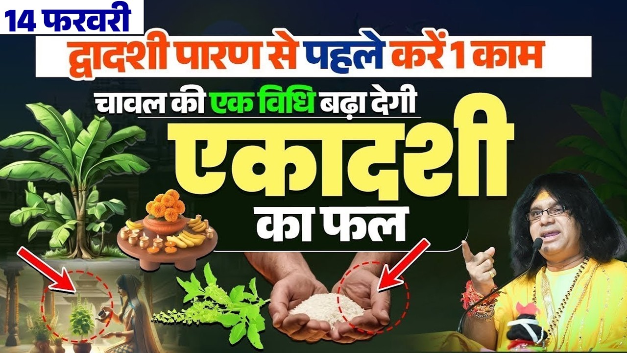 14 फरवरी द्वादशी के दिन करें 1 काम चावल की एक विधि बढ़ा देगी एकादशी का फल #dwadashi #parana
