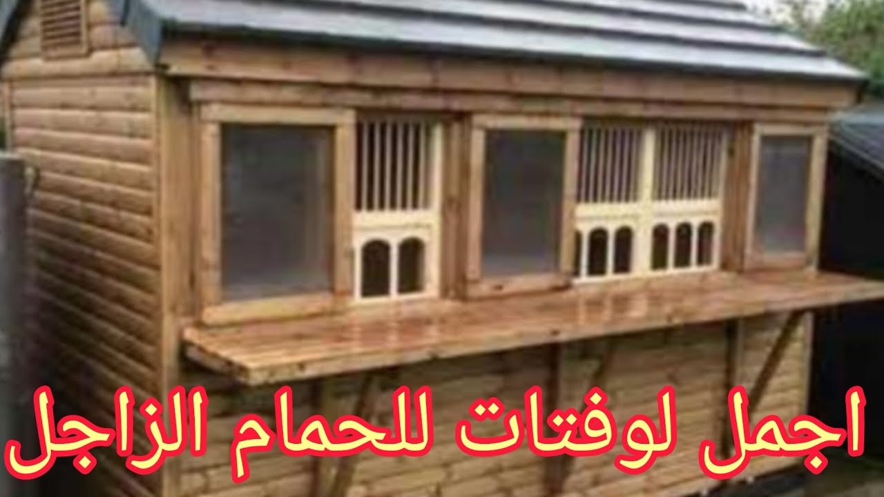 اجمل لوفتات للحمام زاجل