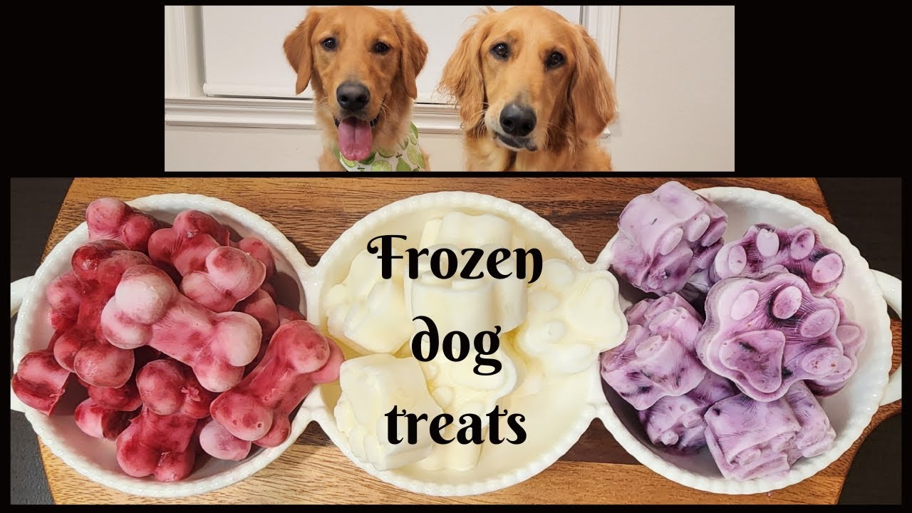How to Make DIY Frozen Dog Treats🐶 | Healthy Dog Treats Recipe❤️😋