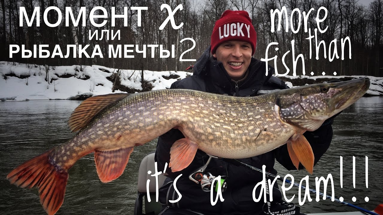 Когда просыпаются трофеи. When big pikes hunts.