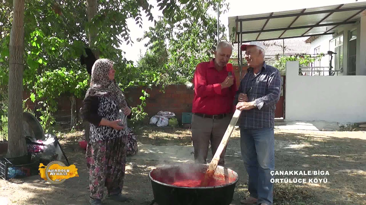 biga örtülüce köyü bl iki