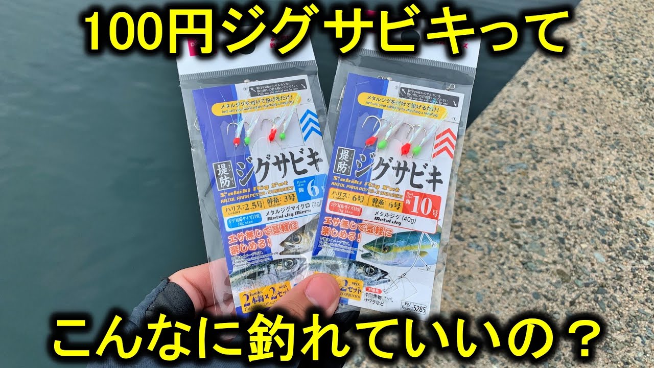 初夏の堤防でダイソージグサビキを投げたらドラグが鳴る大物が連発します。