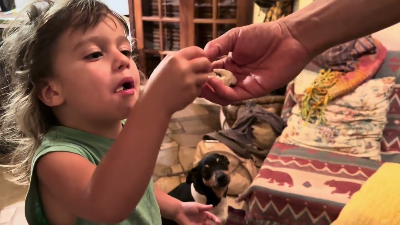 Paneer • Queijo Fresco Indiano