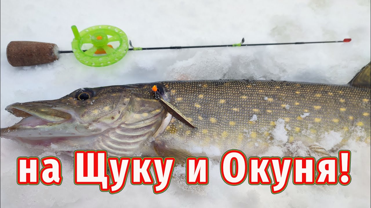 Универсальная приманка на Щуку и Окуня зимой!