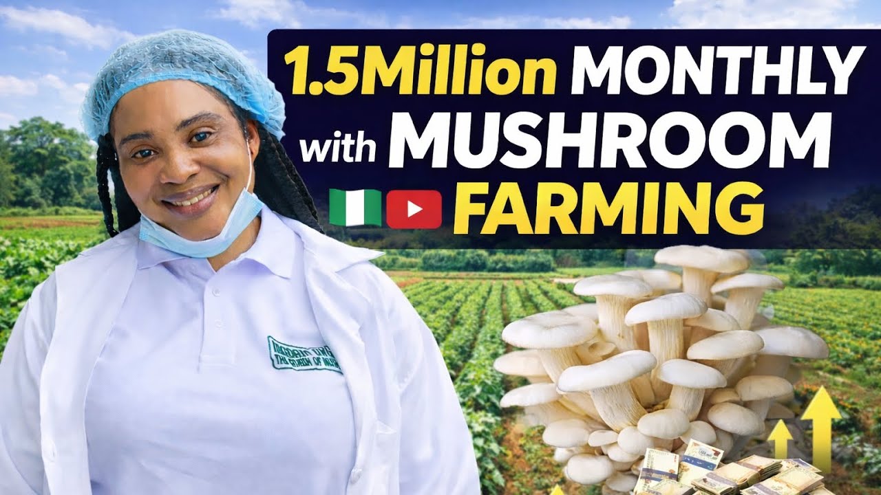 How This Woman Makes ₦1.5 Million Every Month From Mushroom Farming.