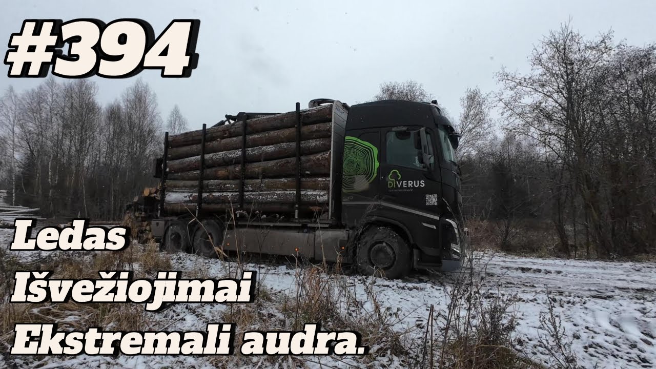 #394 Ledas. Išvežiojimai. Ekstremali audra.