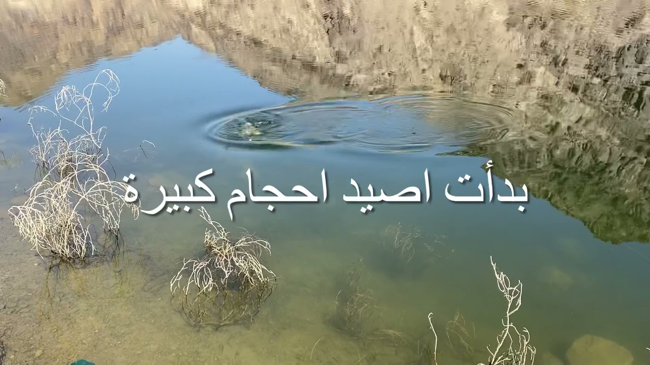 رحلة هايكنق وصيد سمك في سدود المياه العذبه