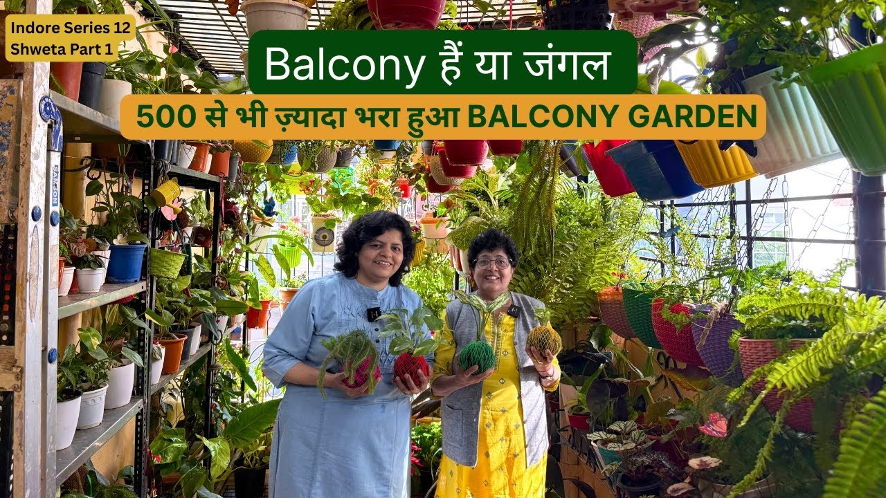 Balcony हैं या जंगल | 500 से भी ज़्यादा भरा हुआ Balcony Garden