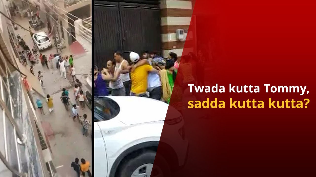 Twada Kutta Tommy?: Neighbours Fight Over Calling Pet Dog 'Kutta' | NewsMo