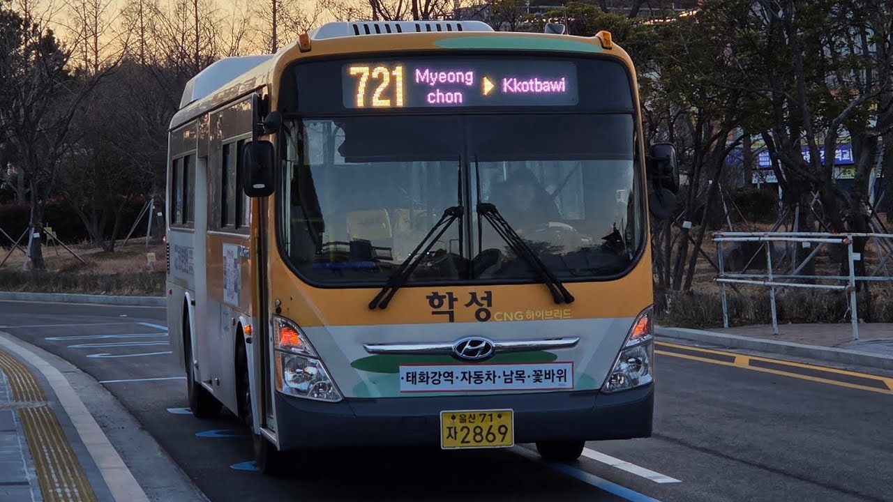 [울산] 울산시내버스 사진모음집 #10 [1080p]