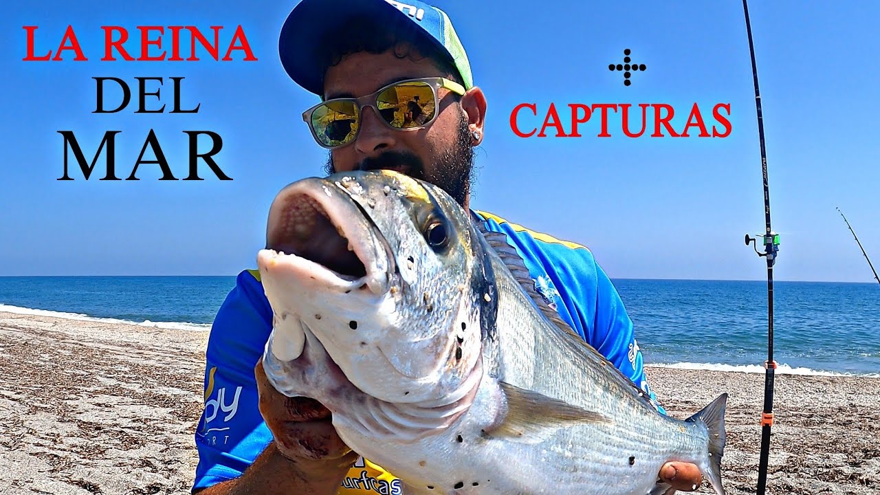 BUENA JORNADA 💪SURFCASTING GRANADA, está vez en solitario y SALIO...