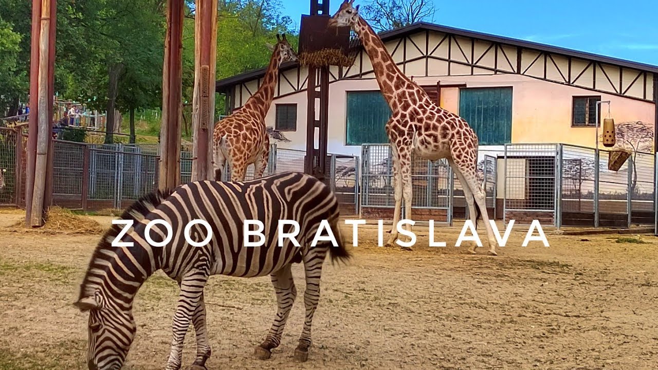 ZOO Bratislava