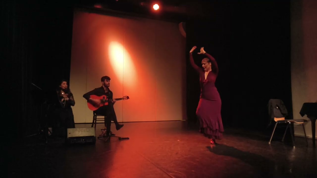 Flamenco Show 