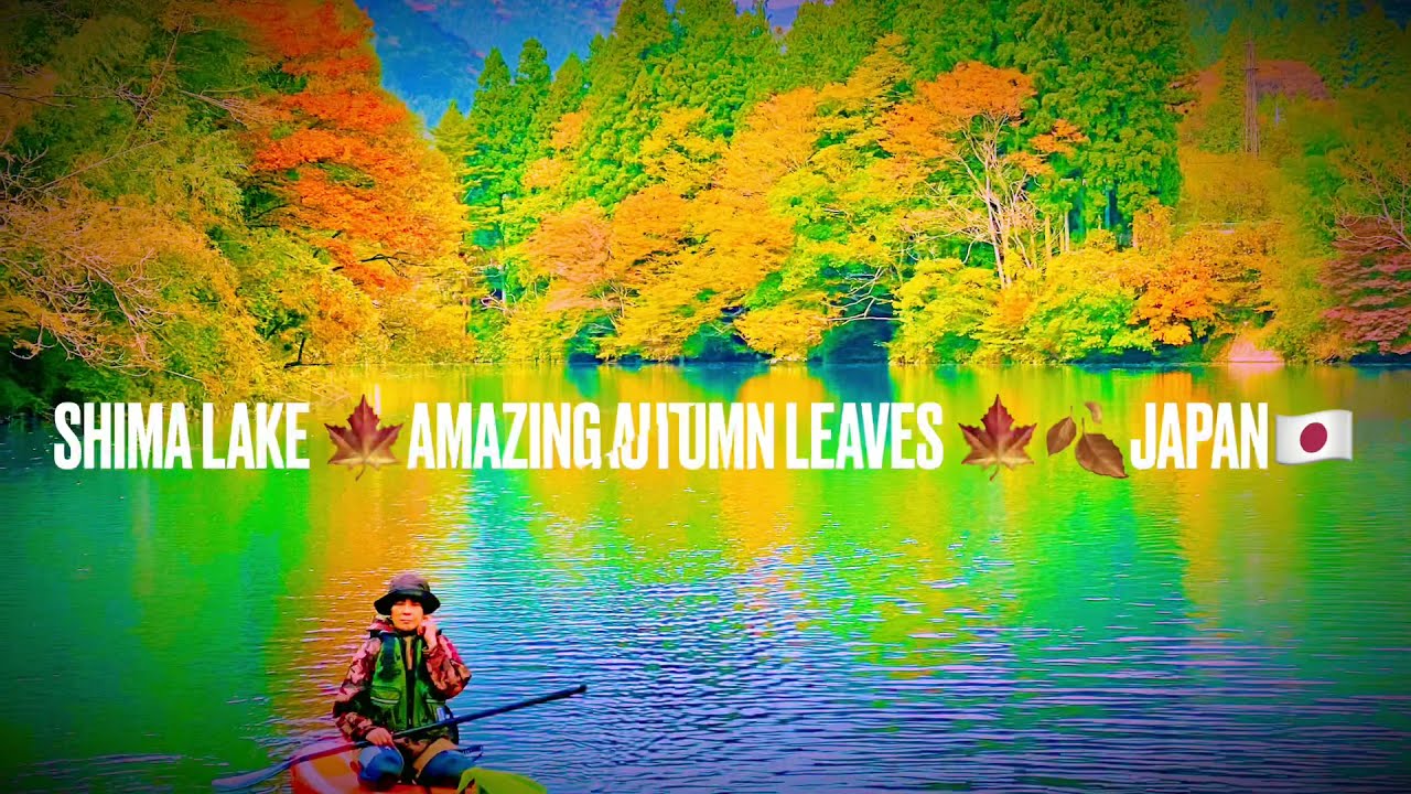 Beautiful Autumn leaves in Japan#Shima lake #Autumn travel vlog❤️🍁