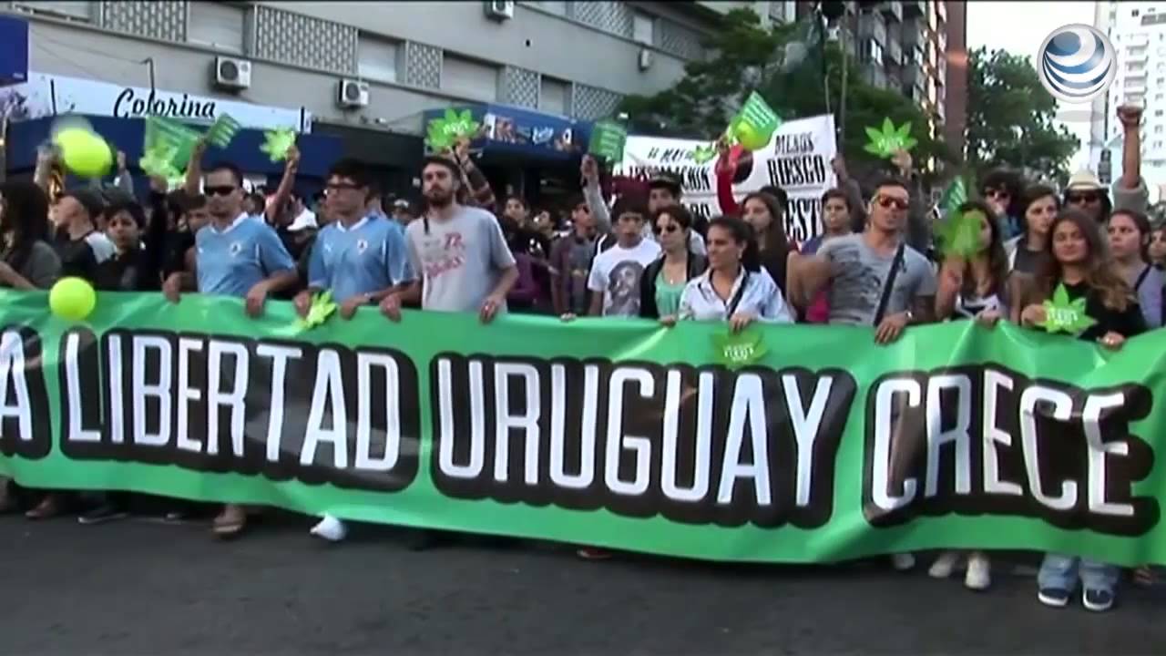 ONU critica legalizaci&oacute;n de mariguana en Uruguay