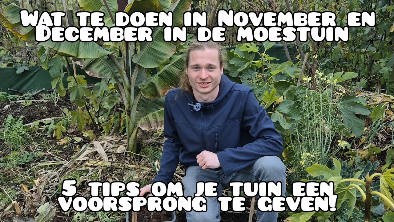 5 Moestuin Tips: Winterklaar Maken in November en December