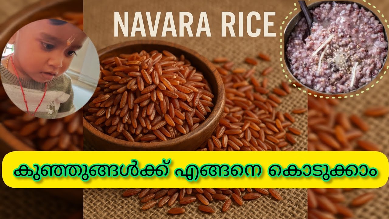 ഞവര അരി കുഞ്ഞുങ്ങൾക്ക്  ഉണ്ടാക്കും ഗുണങ്ങൾ ഏറെ/secret weight gain Food for babies/Navara Rice /(6+M)