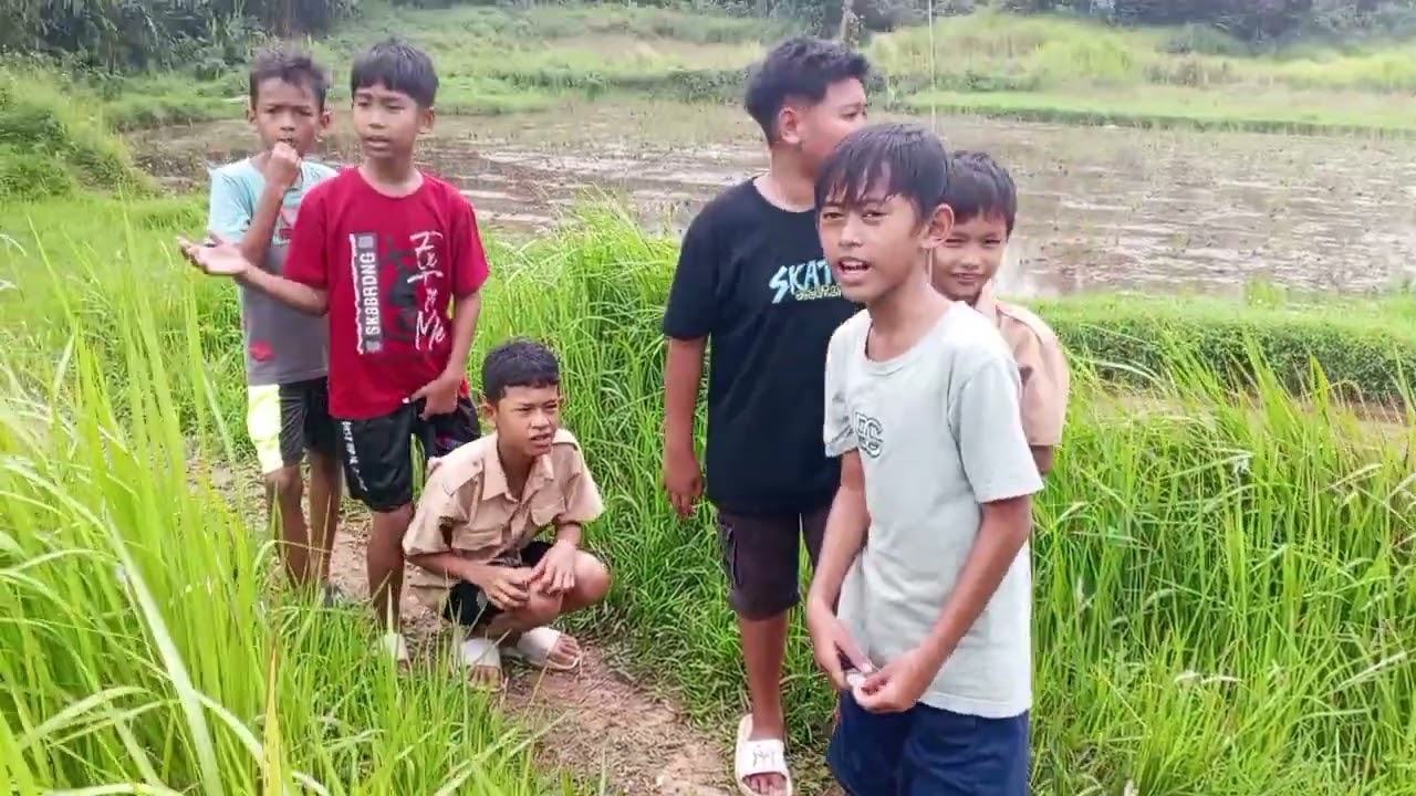Maling kalapa😂barudak kulonn