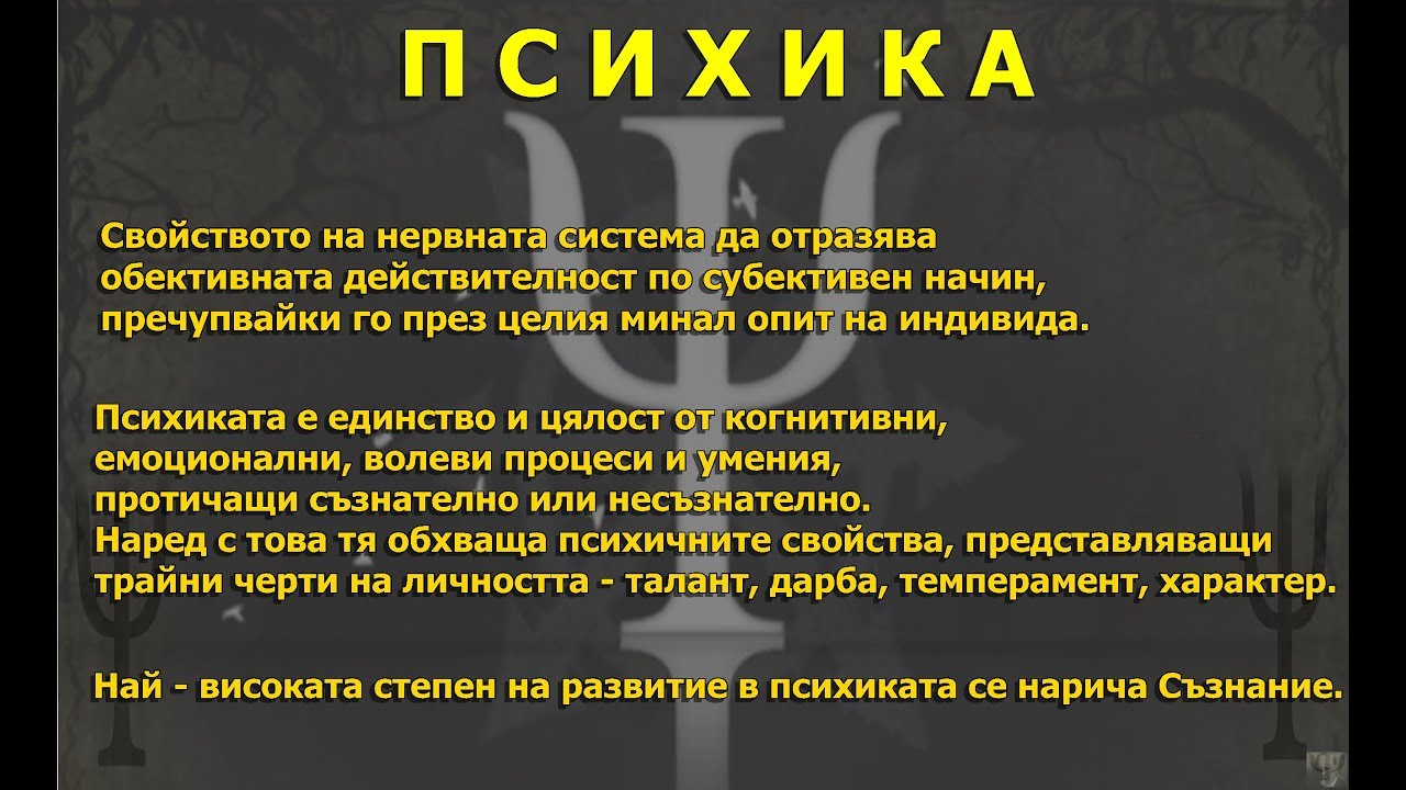 Основни понятия - Психика