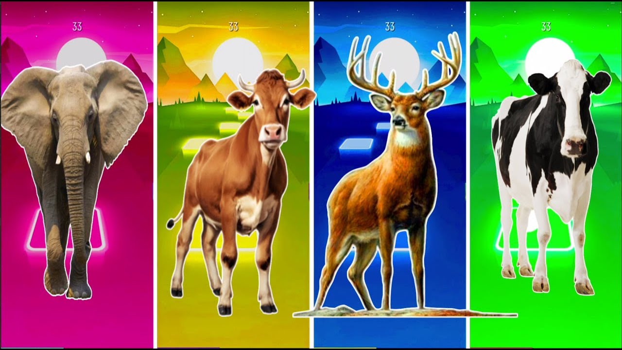 Funny the Horse🐎 🆚Funny Elephant u 🆚Funny Cow🐄 Funny Bull🦏Tiles Hop EDM Rush #tileshop​ #coffindance