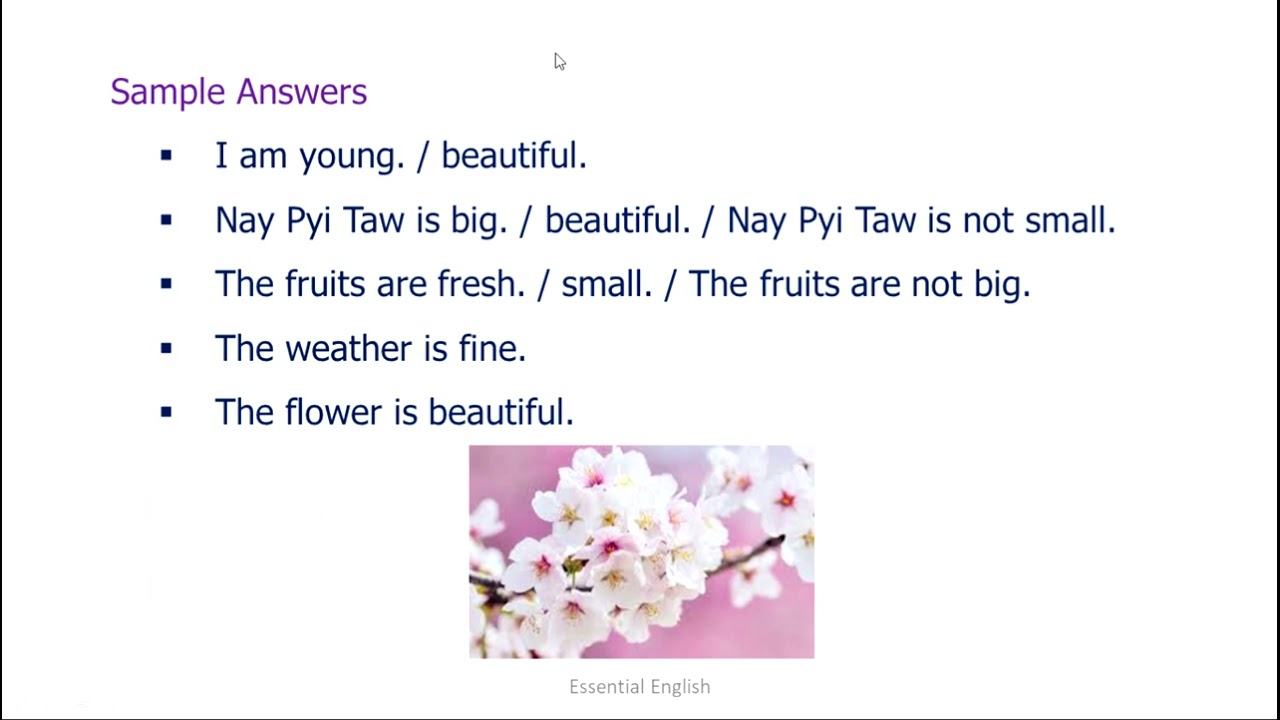Unit 1, Lesson 4