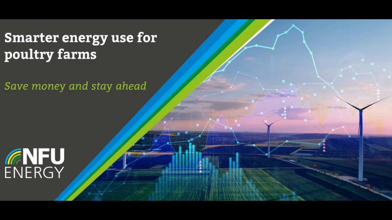 Smarter energy use for poultry farms
