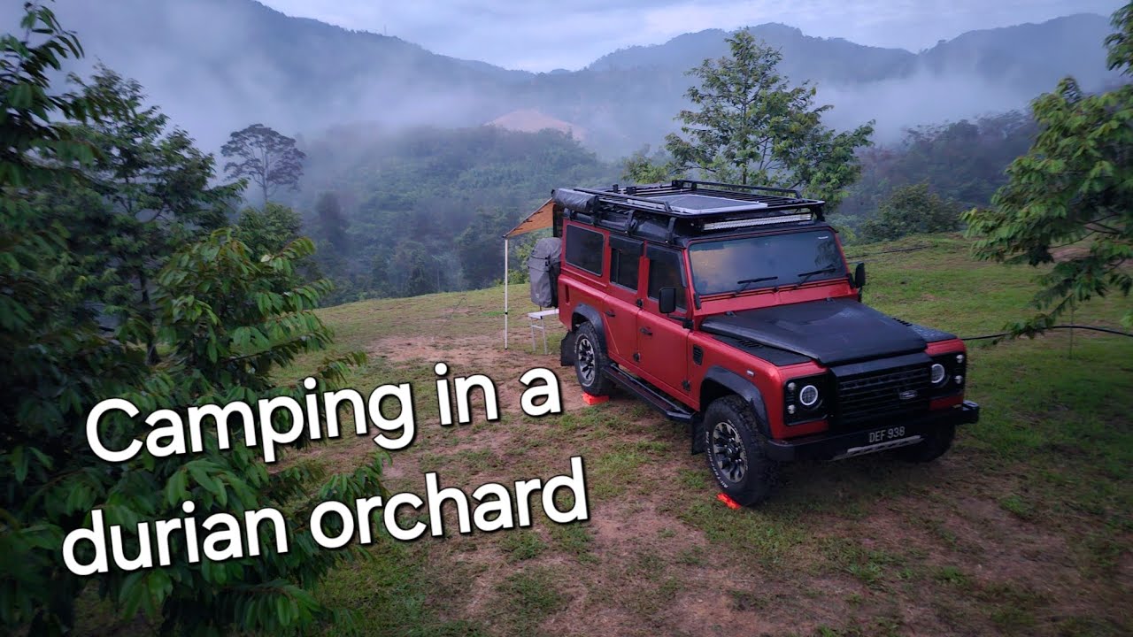 Camping in a durian orchard in Bentong in a Land Rover Defender