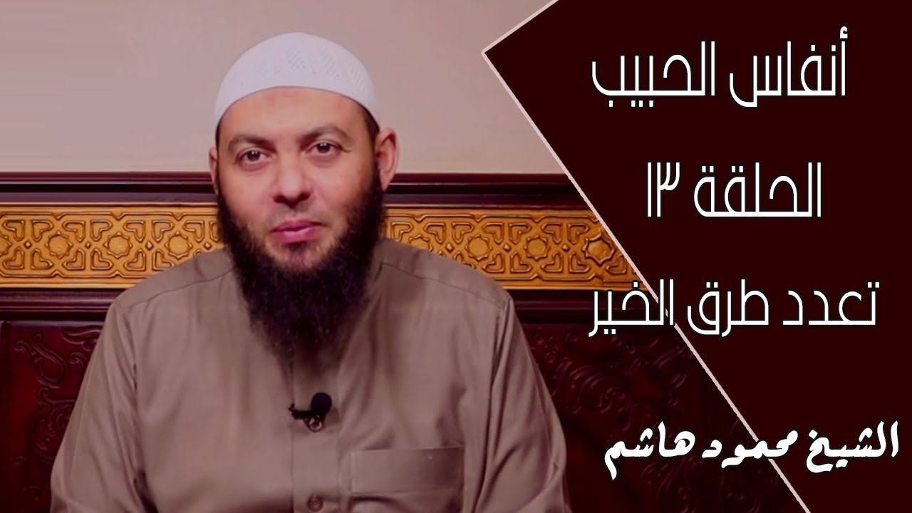 تعدد طرق الخير | الحلقة 13 | أنفاس الحبيب | الشيخ محمود هاشم