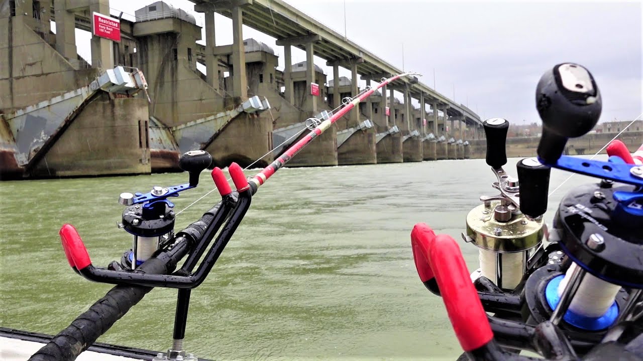 Catch Tons of Fall Catfish Below the Dam with this Technique