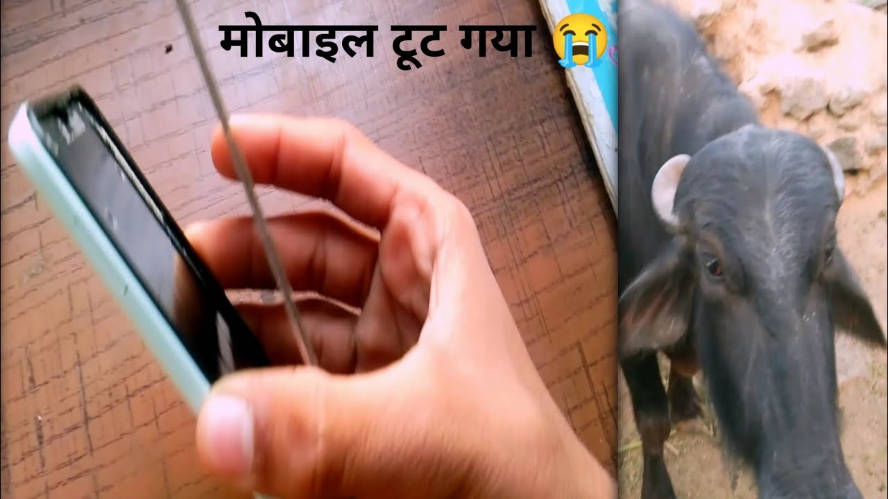 Ye hamare sath me he kyu huya 😭