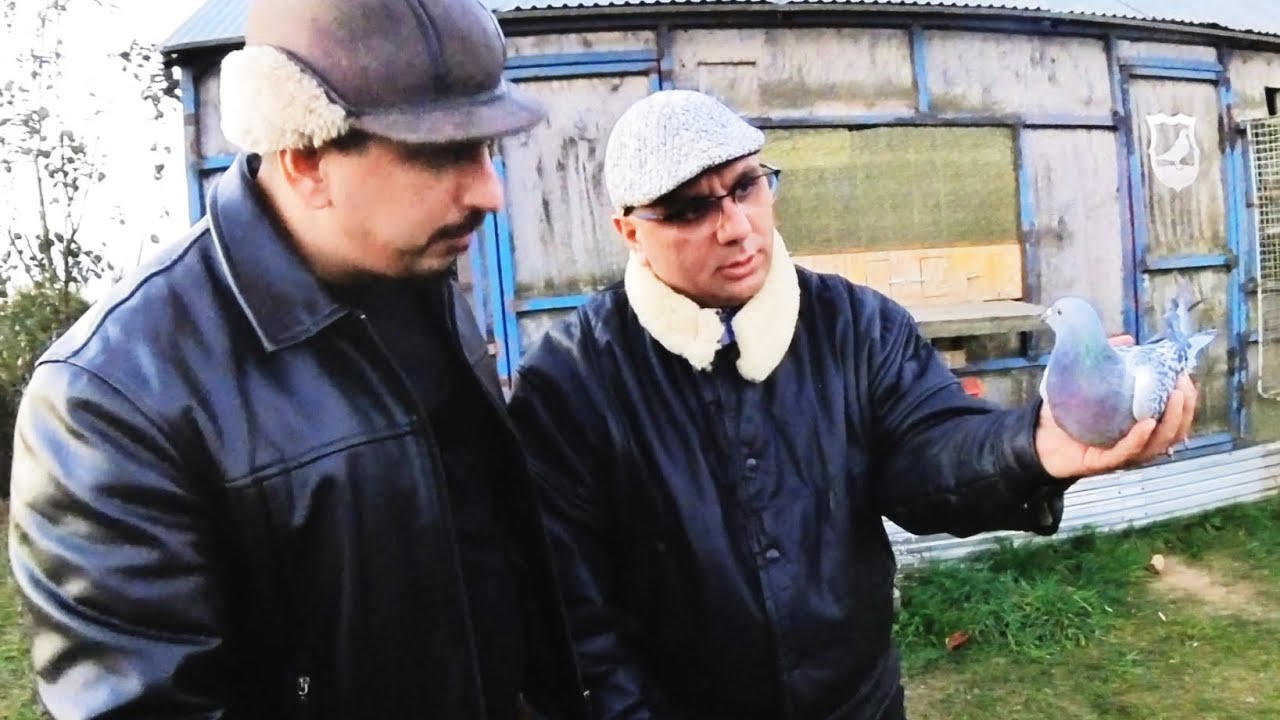O" Tykne - Przemek Gracjan Jestem Tylko złodziejem