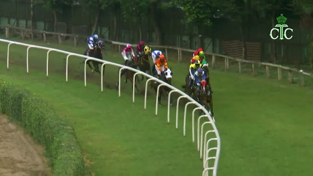 ГИММЛЕР выигрывает турнир Audubon Handicap Div-1