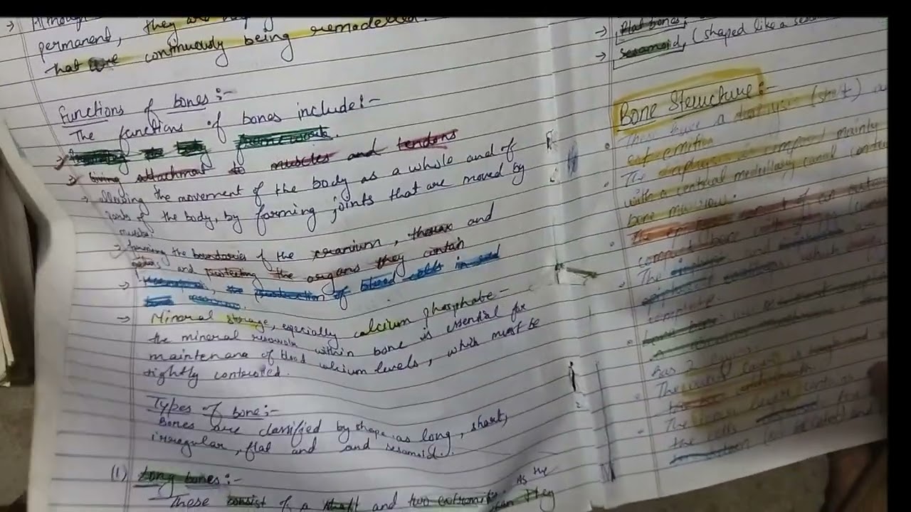 Musculoskeletal System Part 1