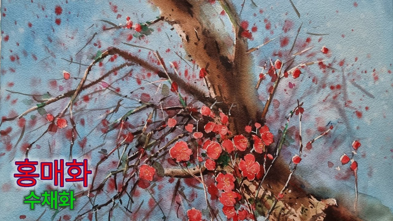 홍매화 /수채화 red plum blossoms