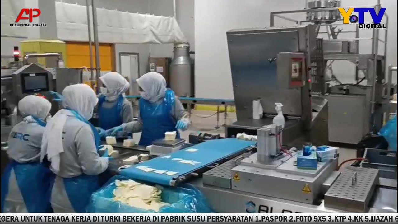 DIBUTUHKAN 50 ORANG SEGERA UNTUK BEKERJA DI PABRIK SUSU TURKI