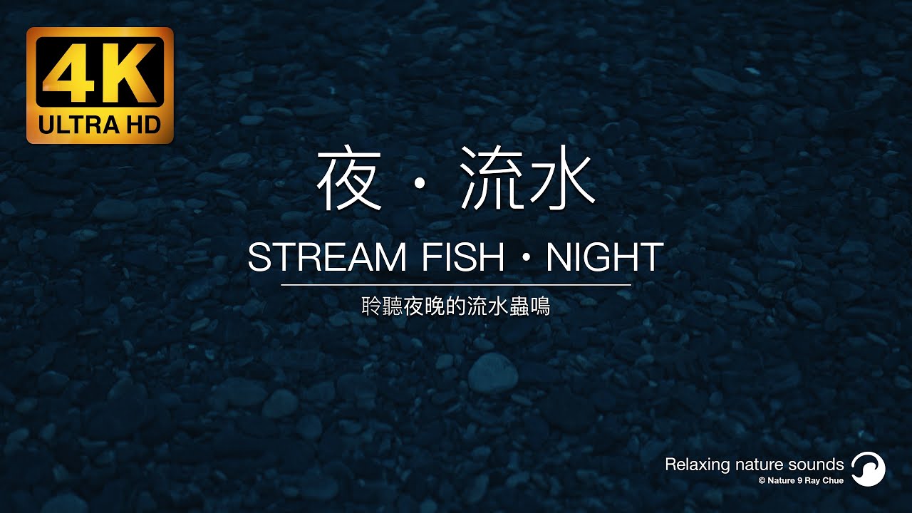 助眠流水 夜晚的蟲鳴 小溪與魚幫助睡眠 陪你入睡 白噪音 4K影片 2小時 桶後林道 4K 60P ASMR