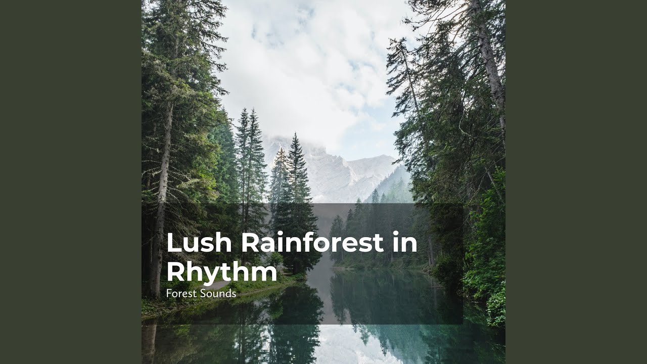 Rhythmic Flow of River