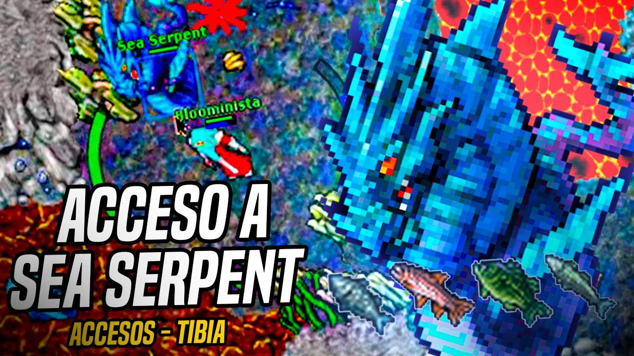 ¡SEA SERPENT, ACCESO AL MEJOR SPAWN! - Tibia | Bakkong