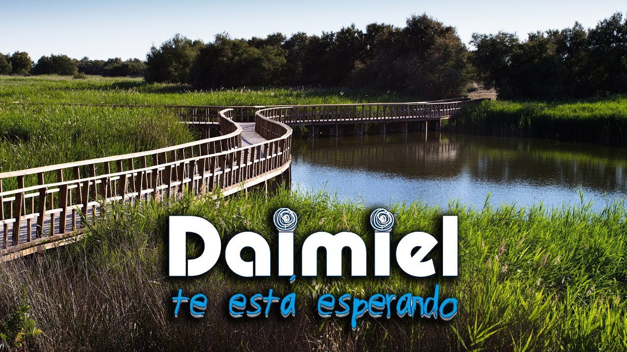 Daimiel te esta esperando