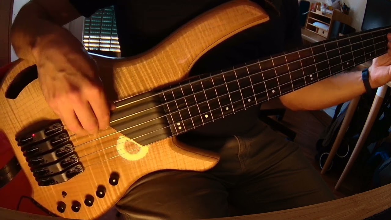Willcox Lightwave Saber VL 5 Fretless - L'Occhio dello Sciacallo Riff