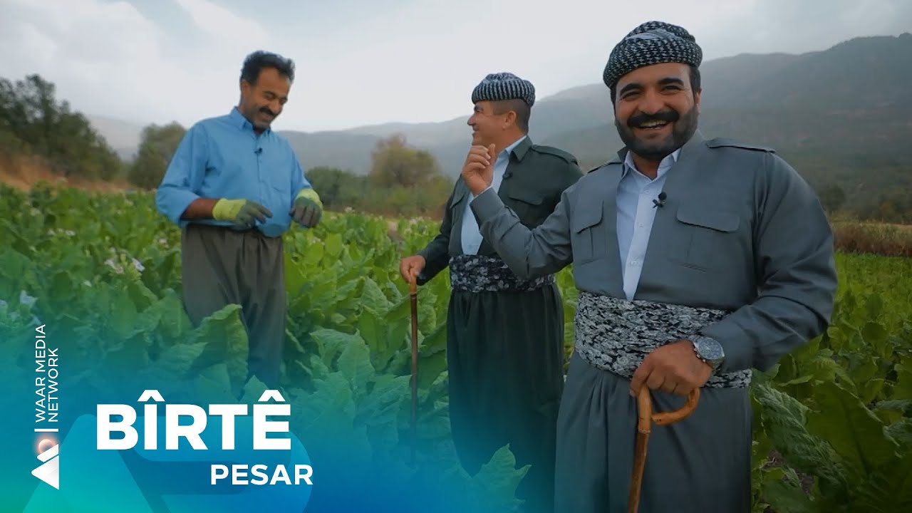Pesar - B&icirc;rt&ecirc; | پەسار- بیرتێ