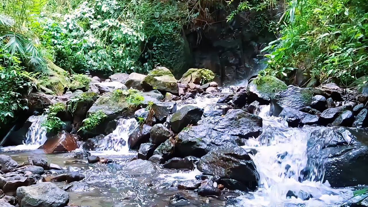 River Flow for Night Serenity