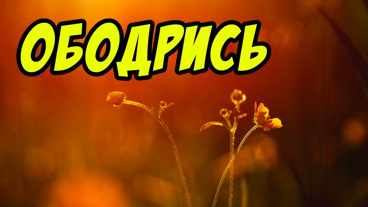 Ободрись - Дмитрий Беспалов. Христианские проповеди