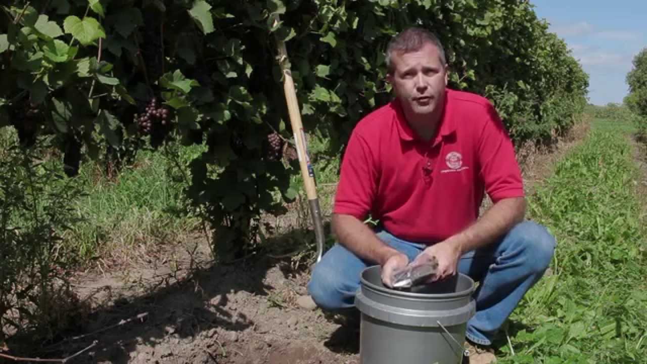 Soil Testing in the Vineyard