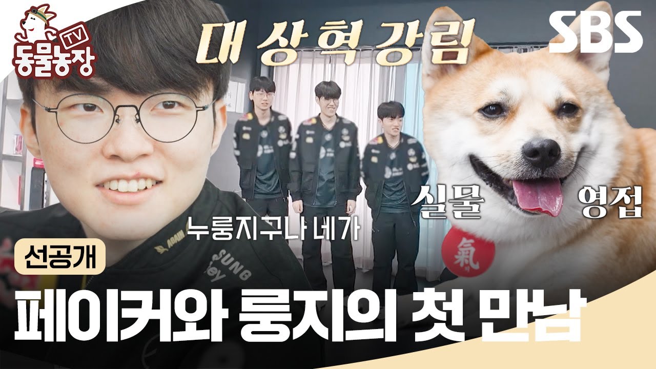 [선공개] 페이커와 룽지의 달달한 첫 만남🐶&hearts;️ 하지만 차갑게 돌변한 룽지에 당황한 페이커?! | TV 동물농장 | SBS