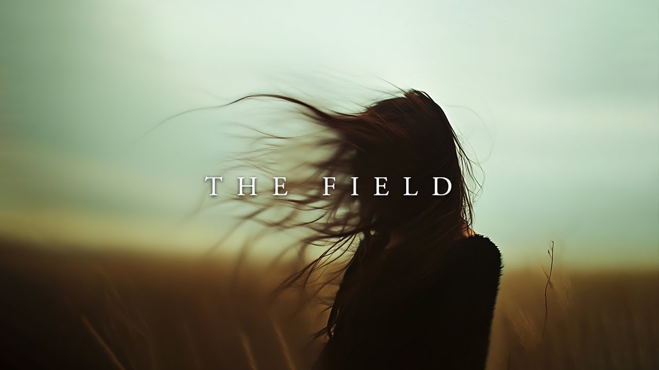 The Field - Ambient music compilation by NEOUS