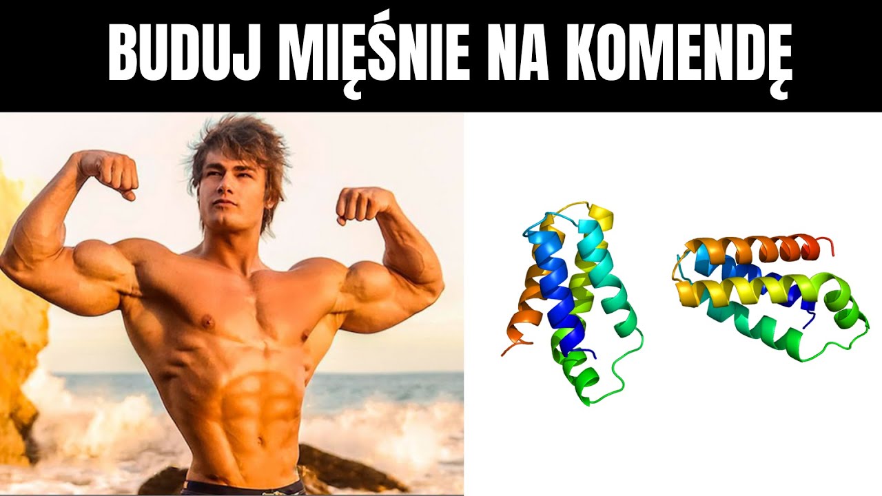 ZMAKSYMALIZUJ mTOR i BUDUJ MIĘŚNIE NA KOMENDĘ - wszystko co musisz wiedzieć