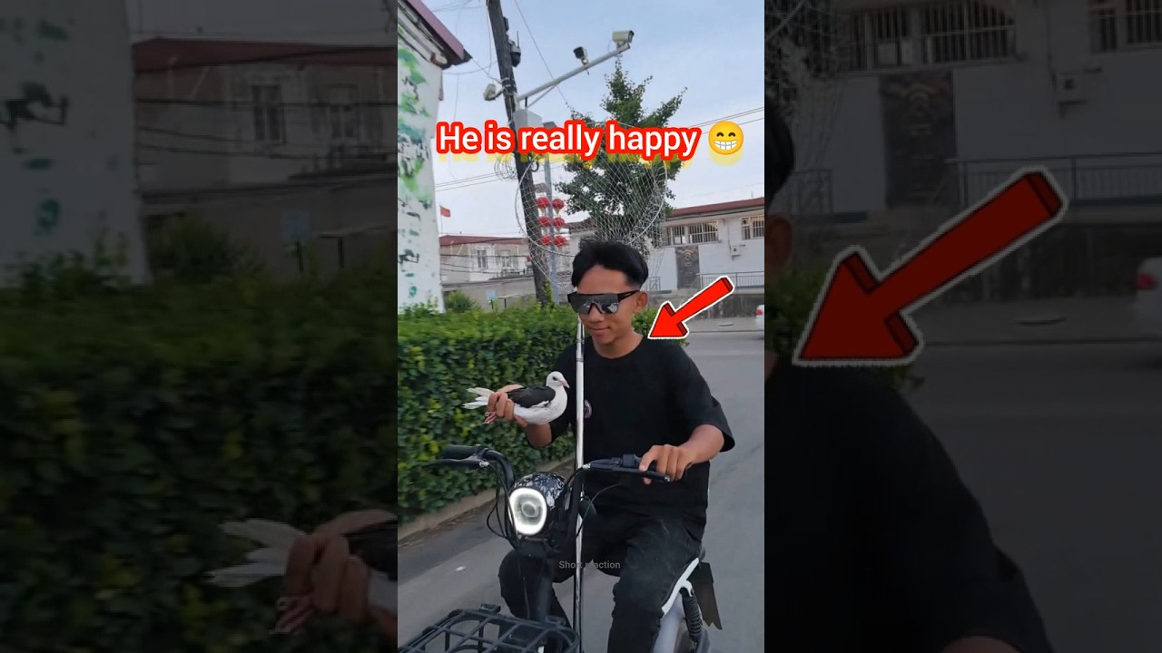 Boys catch the pigeon 😭||He is very happy 😁